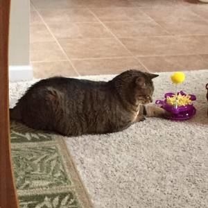 Meet your Posher, Amy